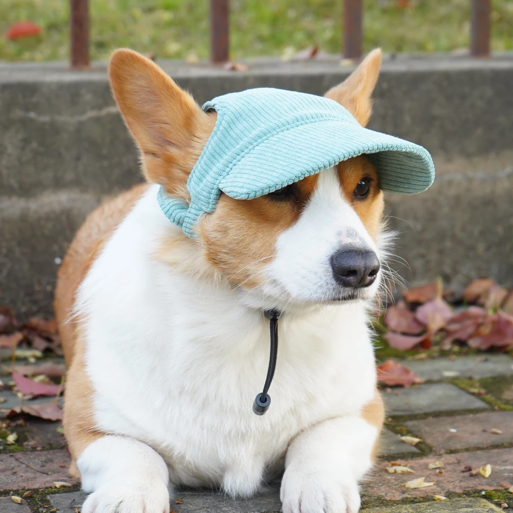 Fashionable Pet Dog Hat with Adjustable Sun Protection XS to XL Size for Small Medium Large Dogs Pet Outdoor Suppies Accessories