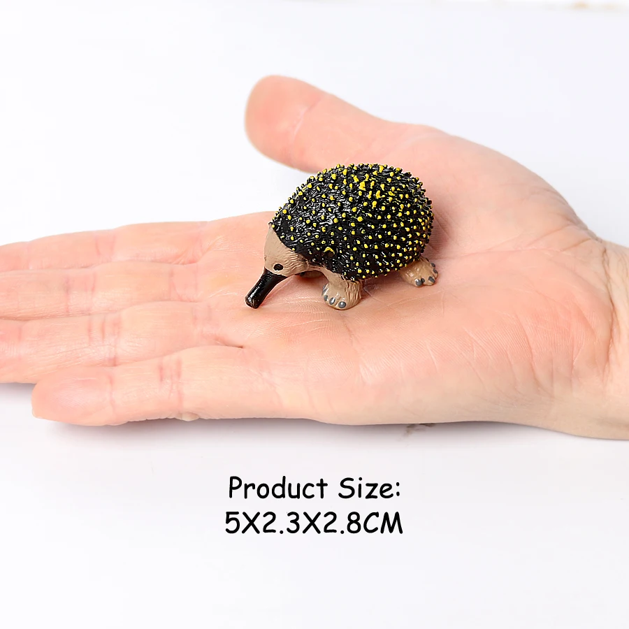 Realistic Australian Wildlife Animal Figurines Emu Koala Platypus Kangaroo Echidna Tasmaniandevil Forest Model Figures Toys