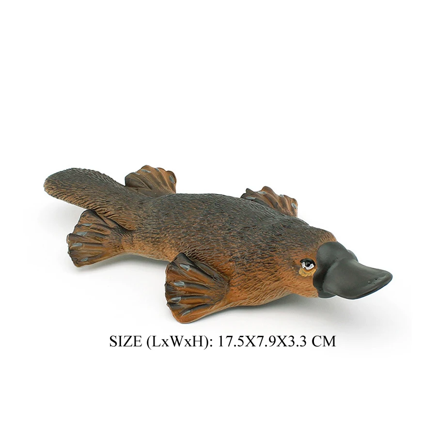 Realistic Australian Wildlife Animal Figurines Emu Koala Platypus Kangaroo Echidna Tasmaniandevil Forest Model Figures Toys