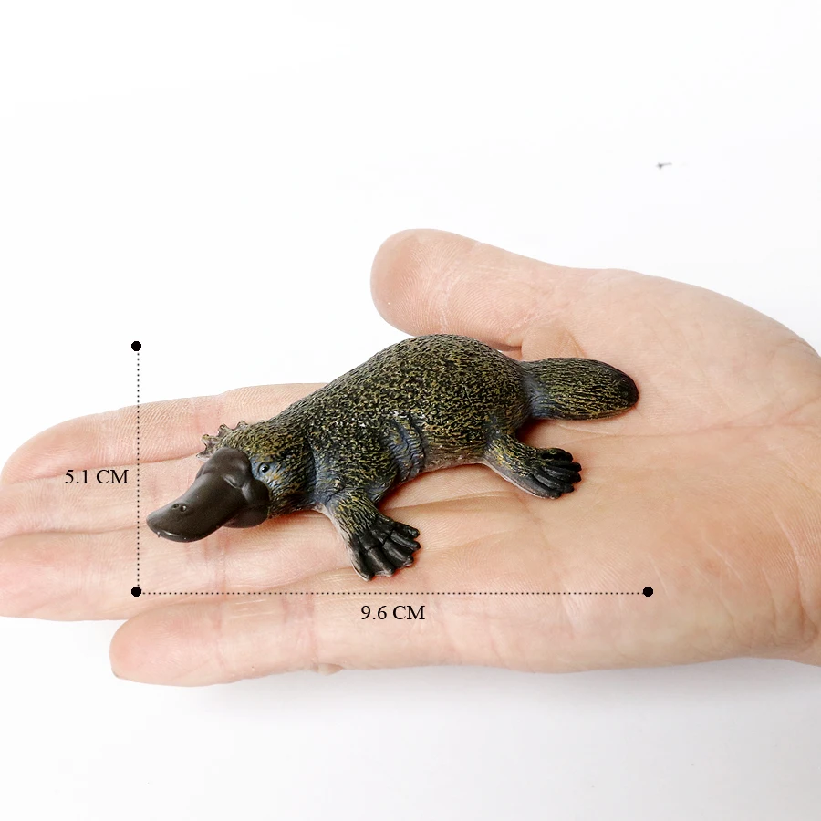 Realistic Australian Wildlife Animal Figurines Emu Koala Platypus Kangaroo Echidna Tasmaniandevil Forest Model Figures Toys