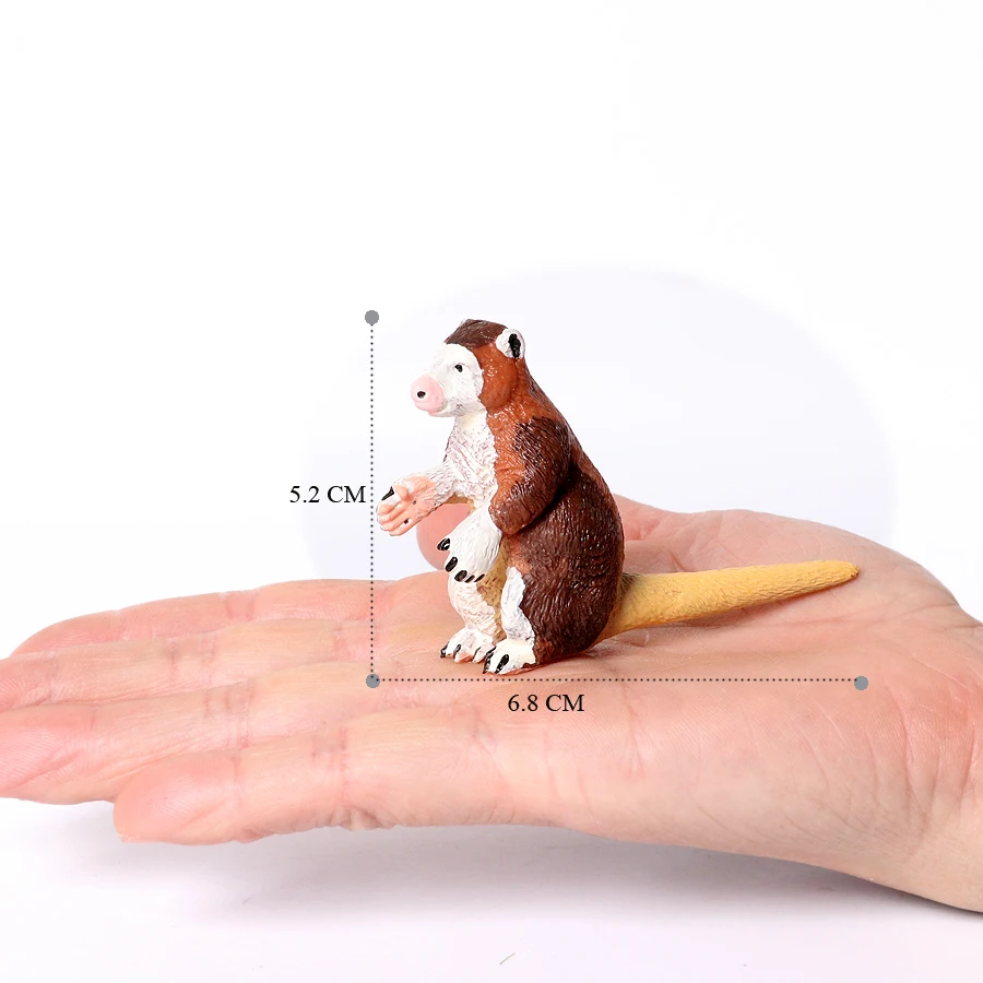 Realistic Australian Wildlife Animal Figurines Emu Koala Platypus Kangaroo Echidna Tasmaniandevil Forest Model Figures Toys