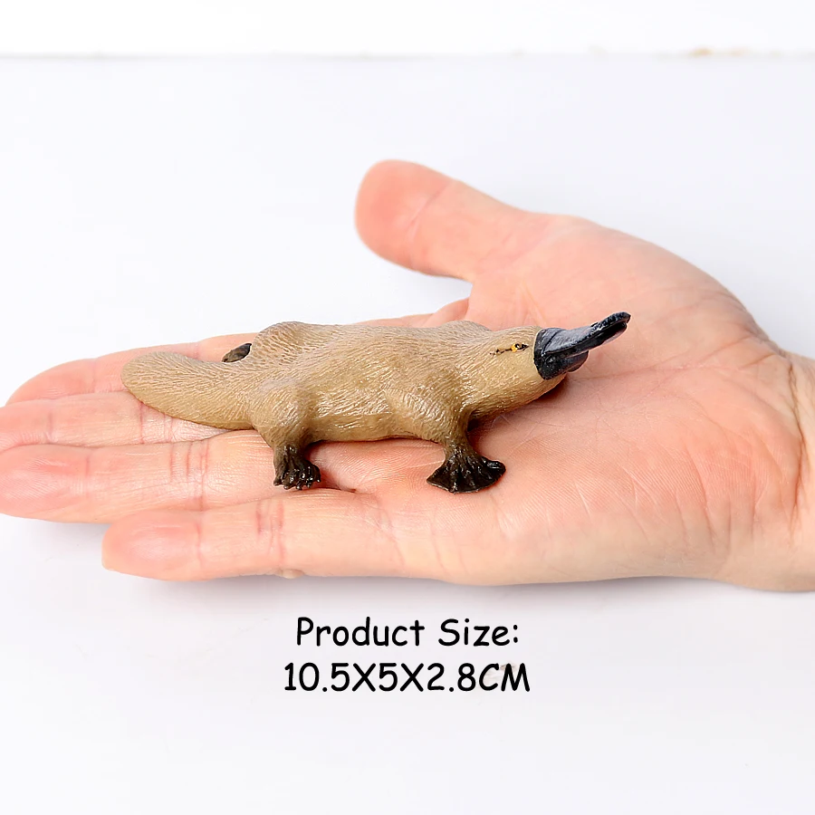 Realistic Australian Wildlife Animal Figurines Emu Koala Platypus Kangaroo Echidna Tasmaniandevil Forest Model Figures Toys