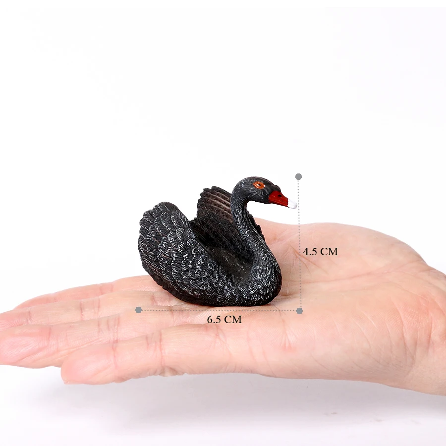 Realistic Australian Wildlife Animal Figurines Emu Koala Platypus Kangaroo Echidna Tasmaniandevil Forest Model Figures Toys
