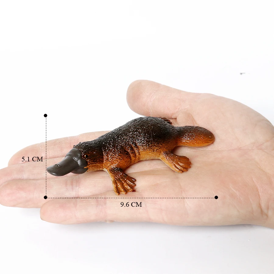 Realistic Australian Wildlife Animal Figurines Emu Koala Platypus Kangaroo Echidna Tasmaniandevil Forest Model Figures Toys