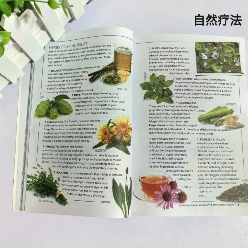 Handbook of Natural Health 9 Basic Pillars of Health Natural Family Therapy Self-care Adult English Reading