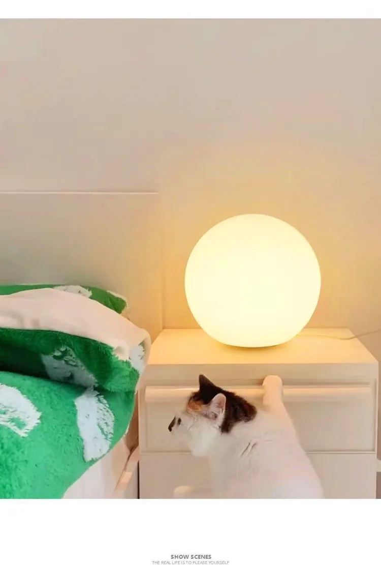 Decorative Ball Table Lamp Bedside Nightlight Girls Ins Gift Atmosphere Lamp Romantic Warm Children's Room Desk Bedroom Floor La