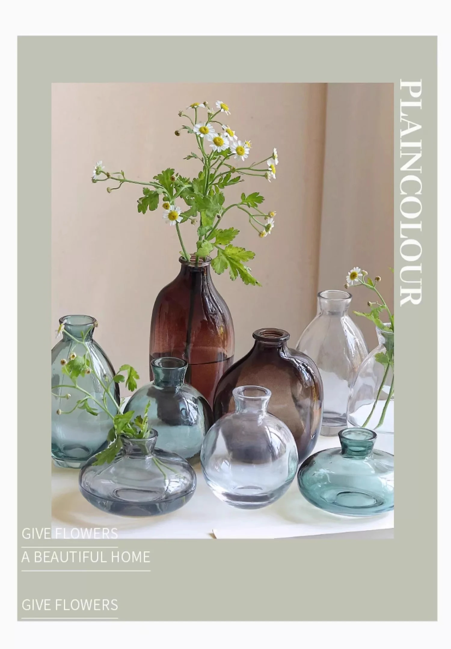 Minimalist Transparent Glass Vase Lovely Small Plant Pots Table Decoration Flower Arrangement Floral Vases Room Aesthetic Decor