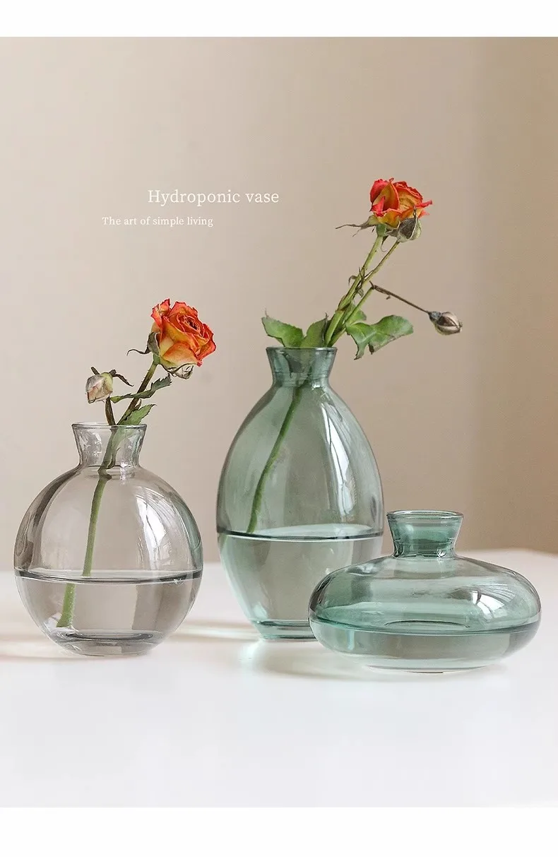 Minimalist Transparent Glass Vase Lovely Small Plant Pots Table Decoration Flower Arrangement Floral Vases Room Aesthetic Decor