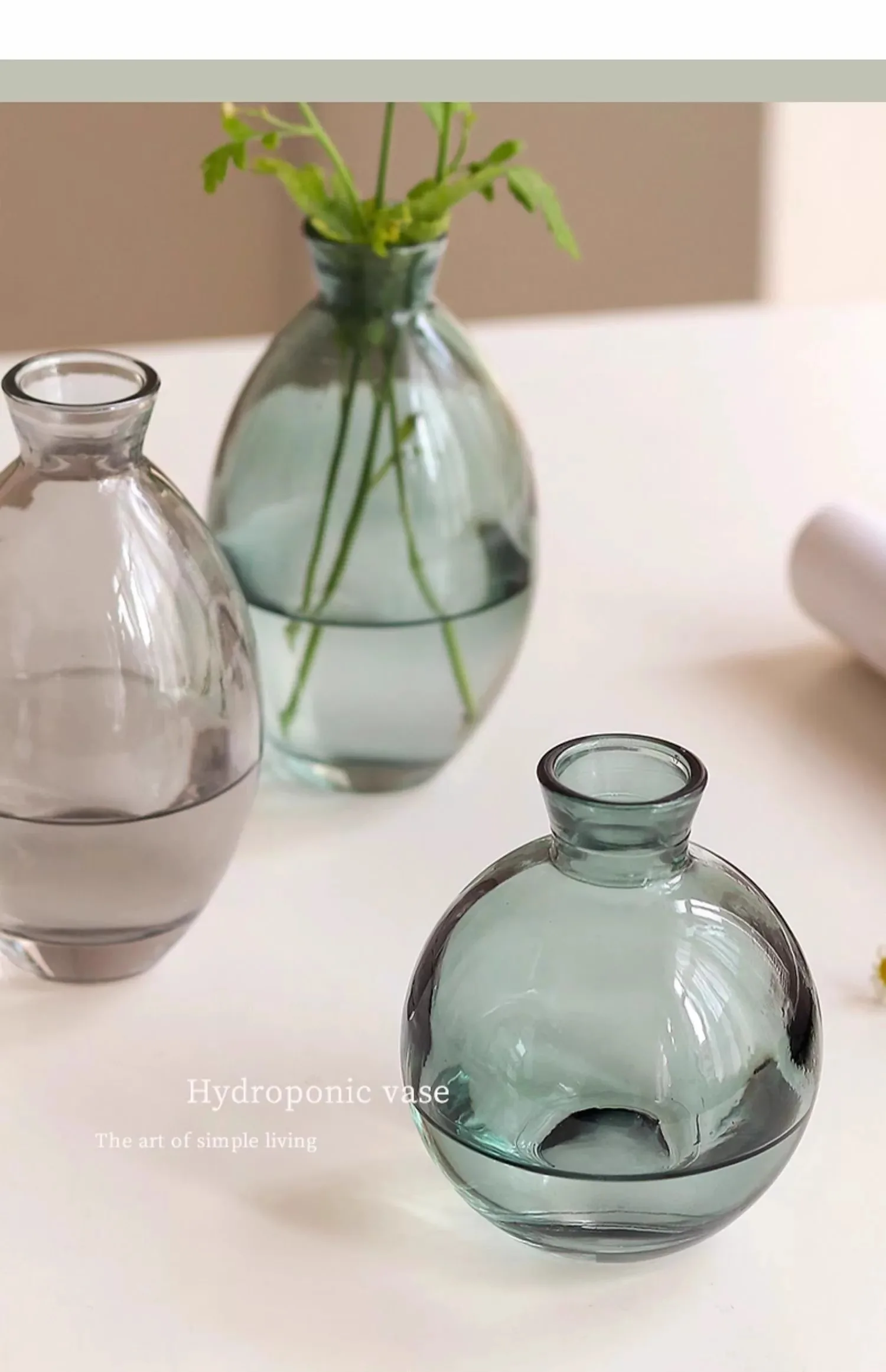 Minimalist Transparent Glass Vase Lovely Small Plant Pots Table Decoration Flower Arrangement Floral Vases Room Aesthetic Decor