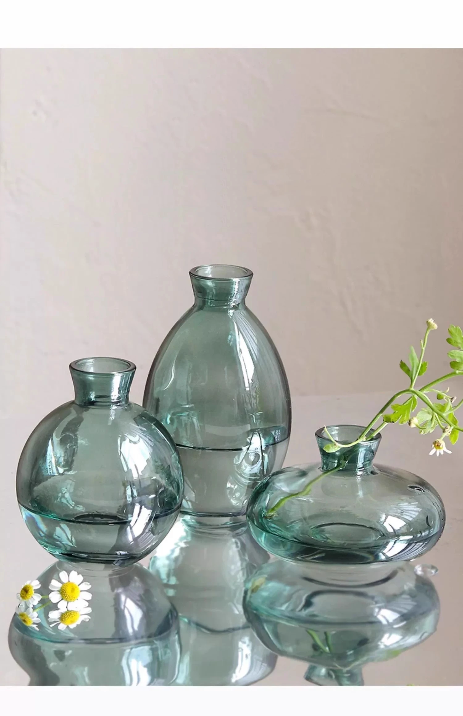 Minimalist Transparent Glass Vase Lovely Small Plant Pots Table Decoration Flower Arrangement Floral Vases Room Aesthetic Decor