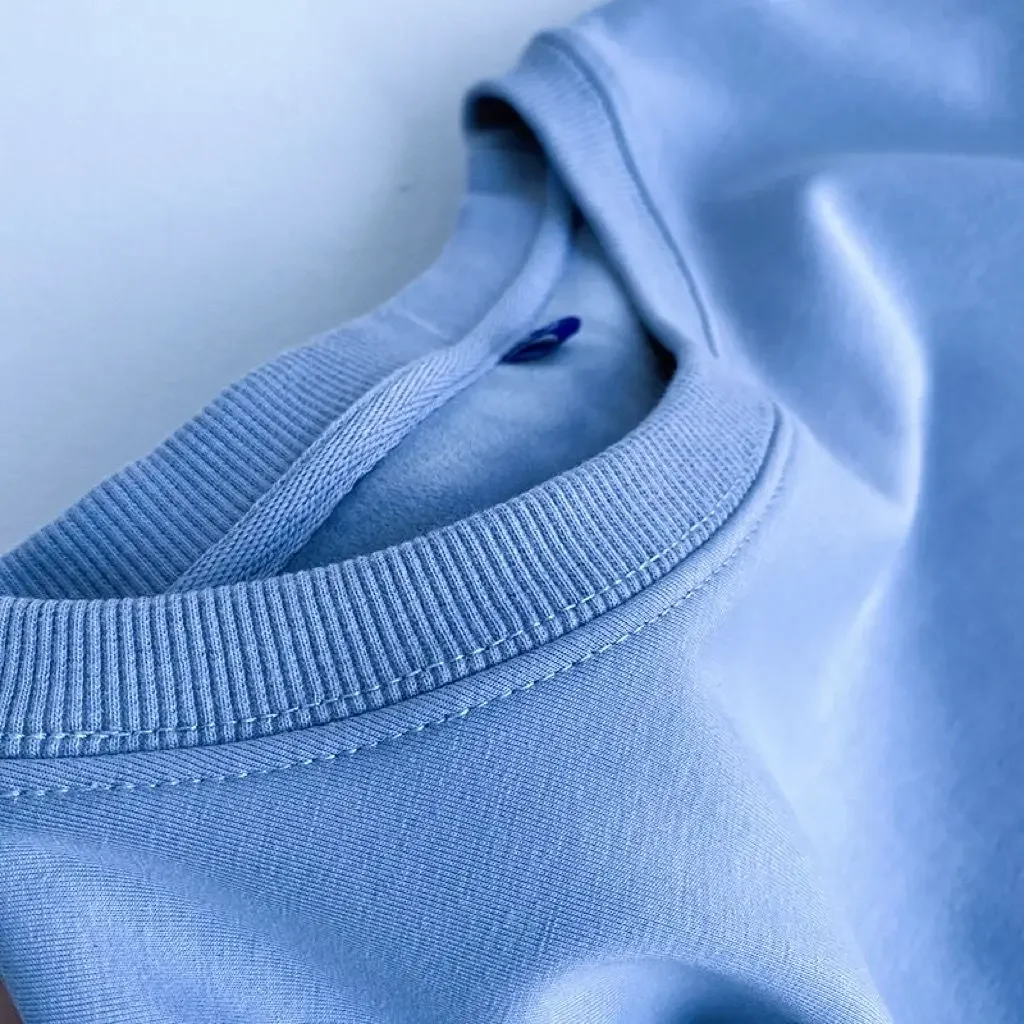 600G Cotton Plush Thickened Sweatshirt Thin Plush Heavyweight Solid Round Neck Sweater Autumn Winter Warm Sweater