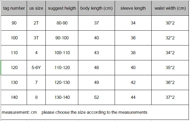 Girls Spring Autumn Turtleneck Embroidery Flower Long Sleeve T-shirt Baby Kids Children Tee