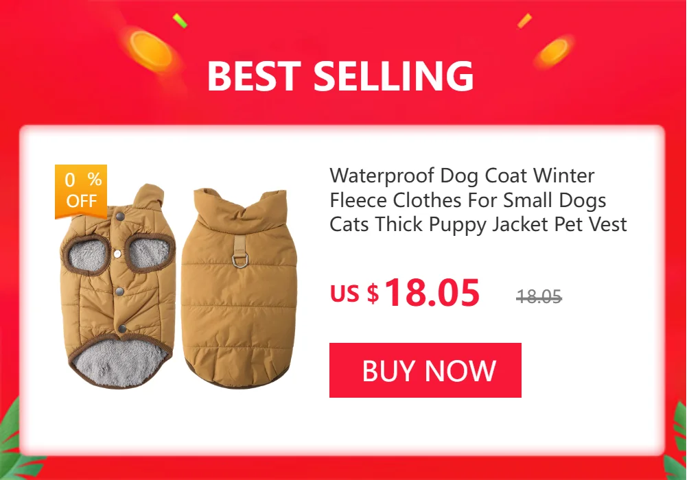 Dog Water Bottle Portable Pet Drinking Bowl For Small Big Dogs Foldable Puppy Cats Water Dispenser Outdoor Chihuahua Pug Product