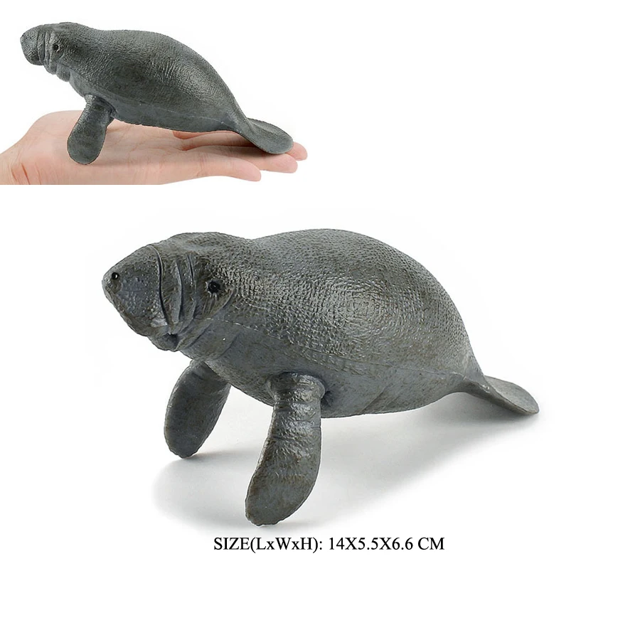 Realistic Dugong Manatee Walrus Sea Lion Fur Seal Ocean Sea Life Animals Model Action Figures Durable Education And Fun Play Toy