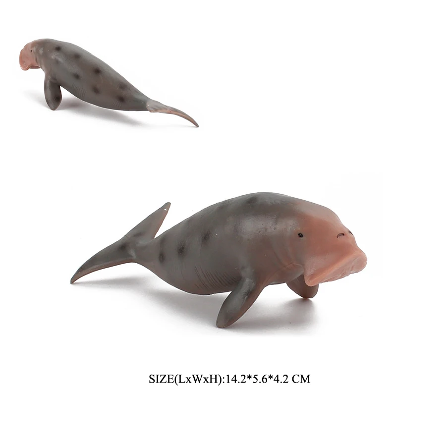Realistic Dugong Manatee Walrus Sea Lion Fur Seal Ocean Sea Life Animals Model Action Figures Durable Education And Fun Play Toy