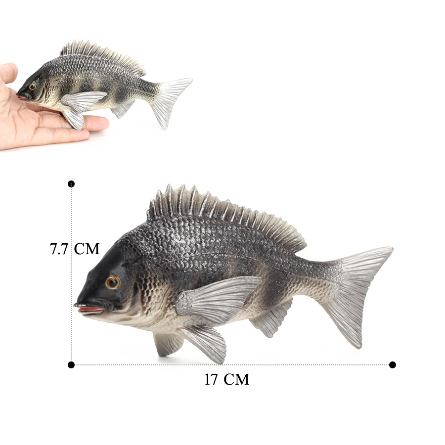  Realistic Catfish Perch Tilapia Angelfish Crucian Carp Freshwater Fish Model Action Figure Decoration Educational Toys For Kid