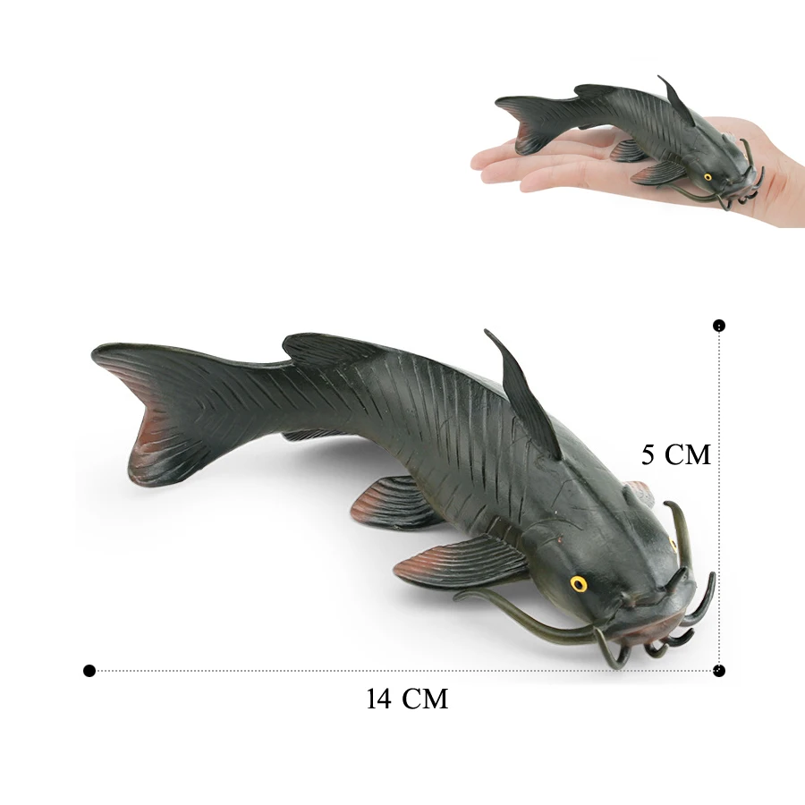  Realistic Catfish Perch Tilapia Angelfish Crucian Carp Freshwater Fish Model Action Figure Decoration Educational Toys For Kid