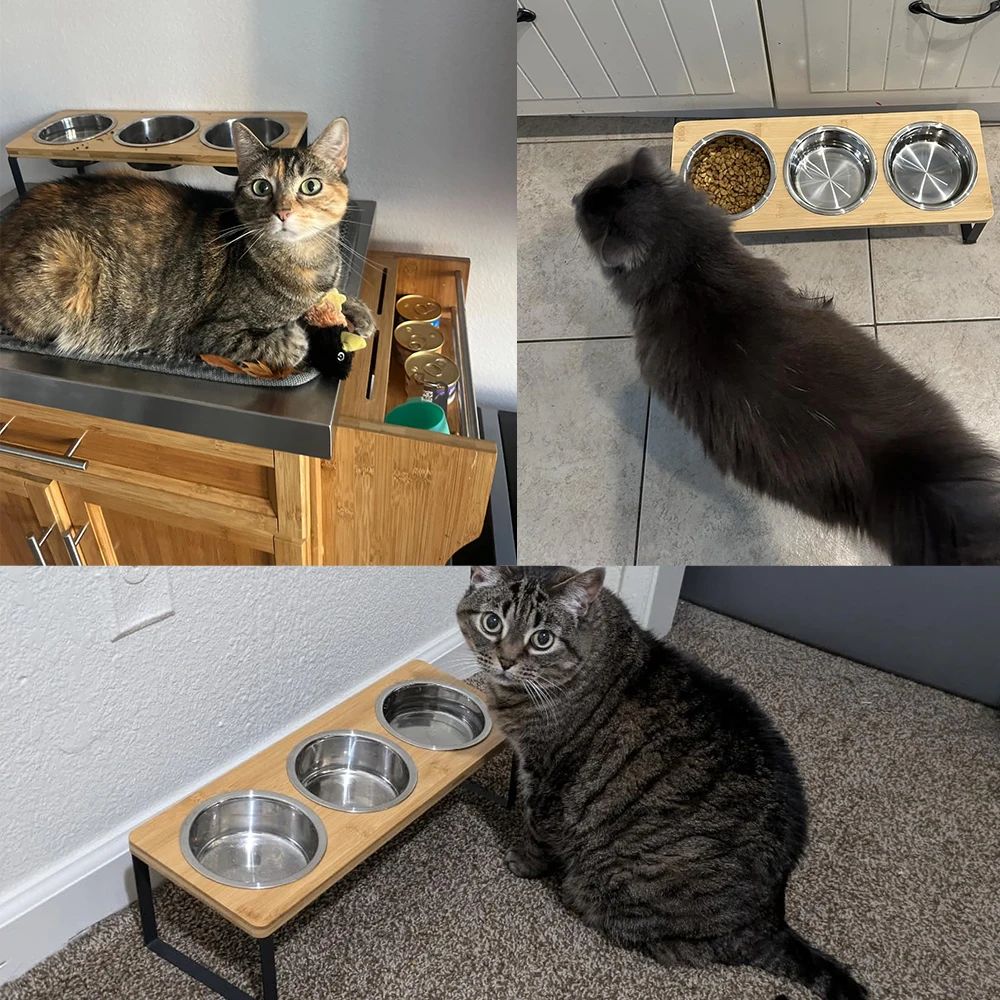 Elevated Cat Bowls with 3 Stainless Steel Bowls 15° Tilted Anti-Vomiting Raised Cat Food Bowl for Small Cats Puppies Accessories