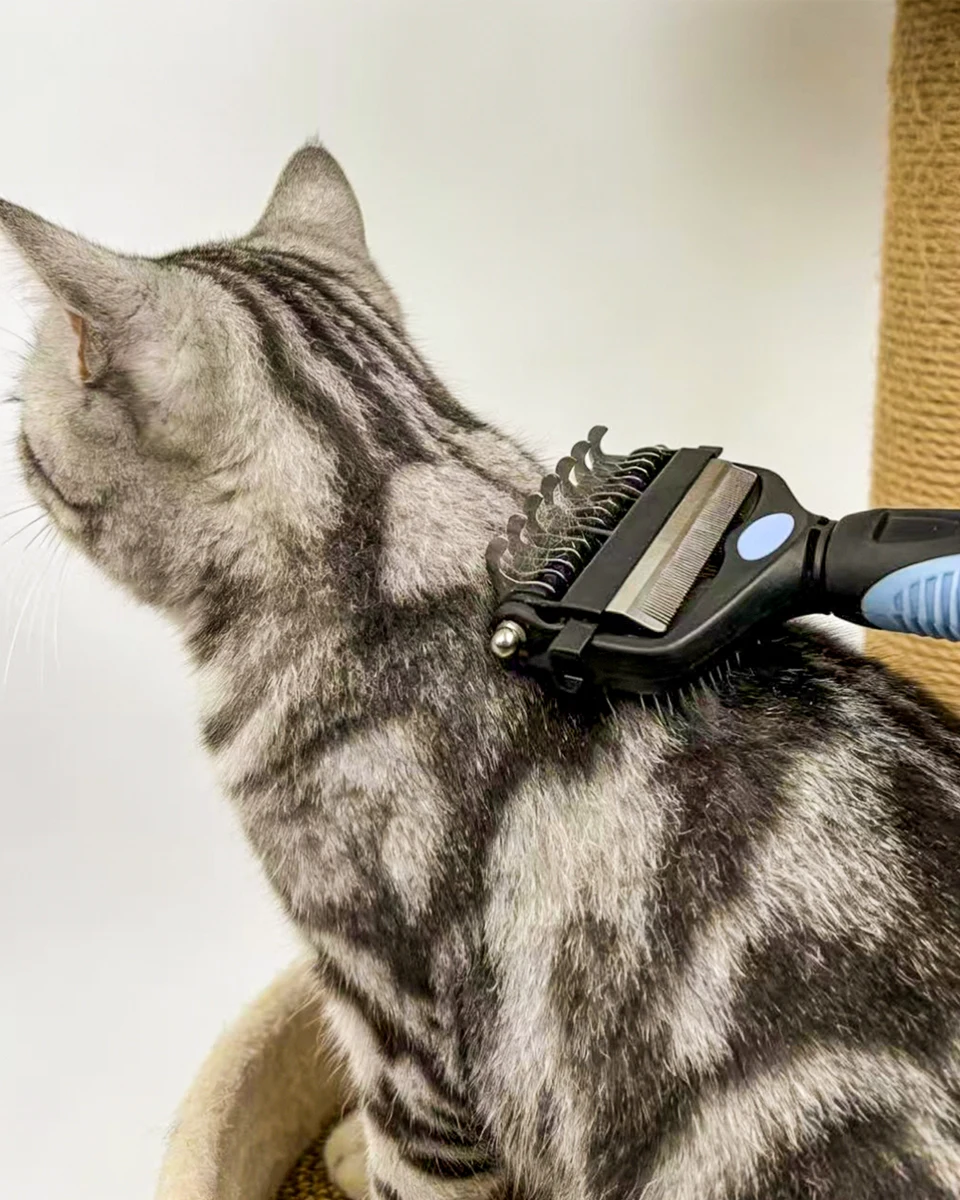 3 in 1 Pet Grooming Hair Brush Dog Deshedding Remover Double Sided Shedding Comb with Stainless Steel Teeth Fur Knot Cutter
