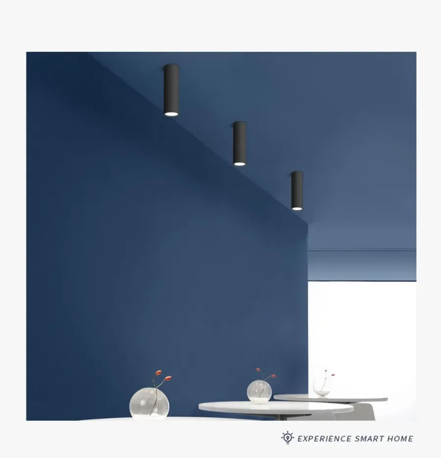 Long Barrel LED Down Light Spotlight Ceiling Light Dimmable COB 12W Surface Mounted Spotlights Living Room Bedroom Shop 85-265V