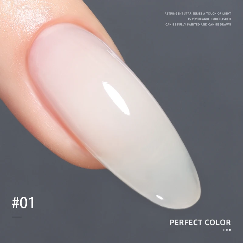 PERFECT COLOR 4-in-1 Builder Nail Gel,20g 12 Colors Rubber Base Gel Polish,Extension for DIY Salon Girls Home,Nail Art Brushes