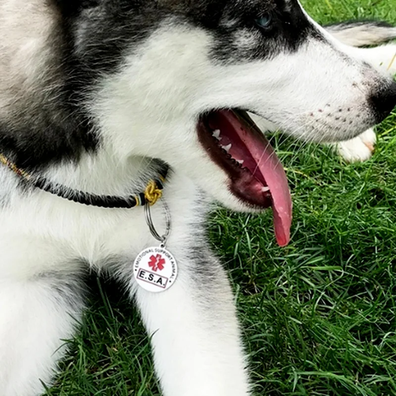 ESA Emotional Support Animal Dog Tag Stainless Steel Red Medical Alert Service Dog Pendant Keychain Key Chains