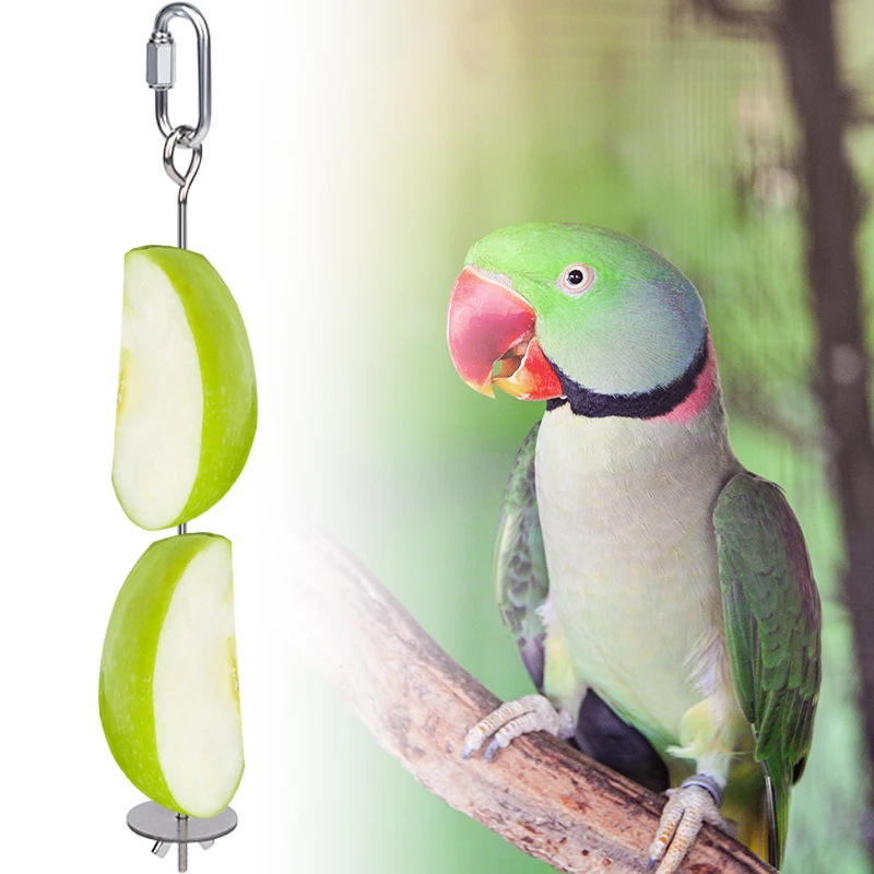 1/2pcs Parrot Stainless Steel Fruit Fork Toy Bird Cage Supplies Fruit Bird Feeder Pet Parrot Accessories Pet Bird Supplies