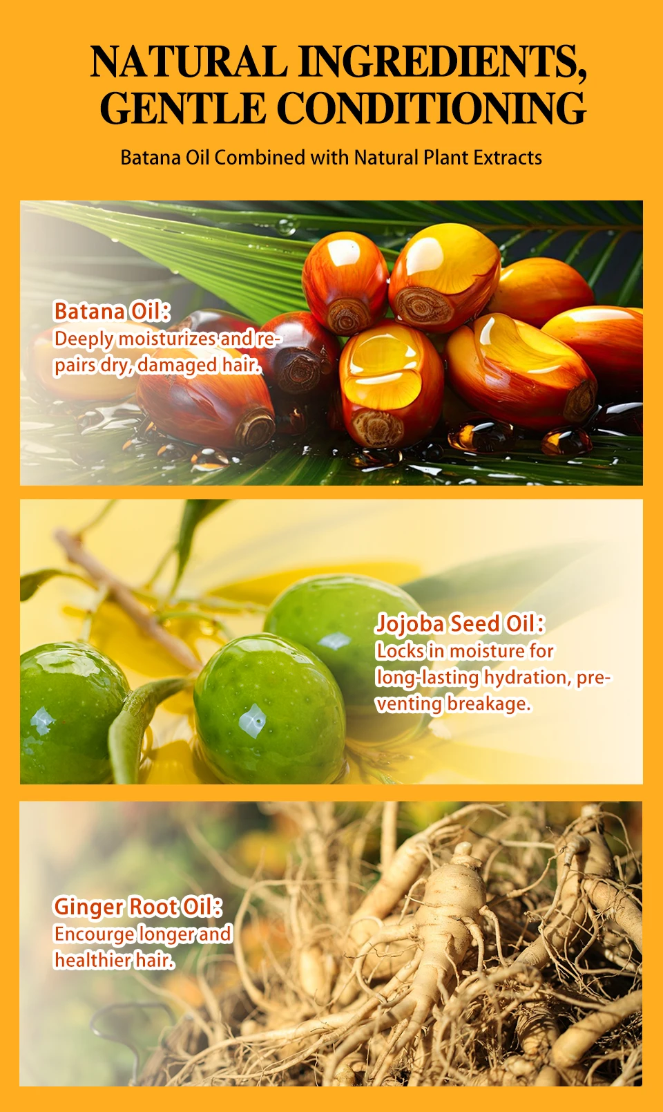 Batana Hair Oil Anti Hair Loss Hair Strengthener Cream Hair Regrowth Deep Moisturizing Nourish Batana Hair Growth Conditioner