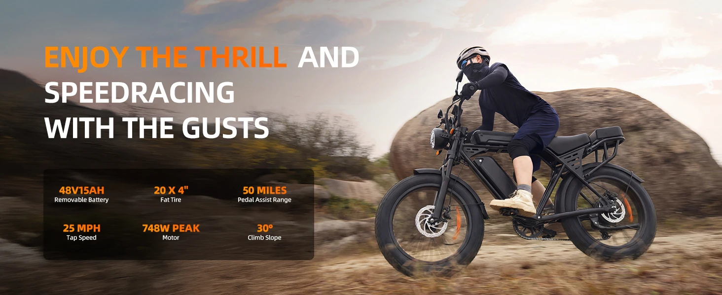 X5 20 Inch Fat Tire All Terrain Electric Bike 1500W Peak Motor E-Bike 48V15AH Removable Battery Dual Disc Brake Adult Electric Bicycle Off Road Beach Snow