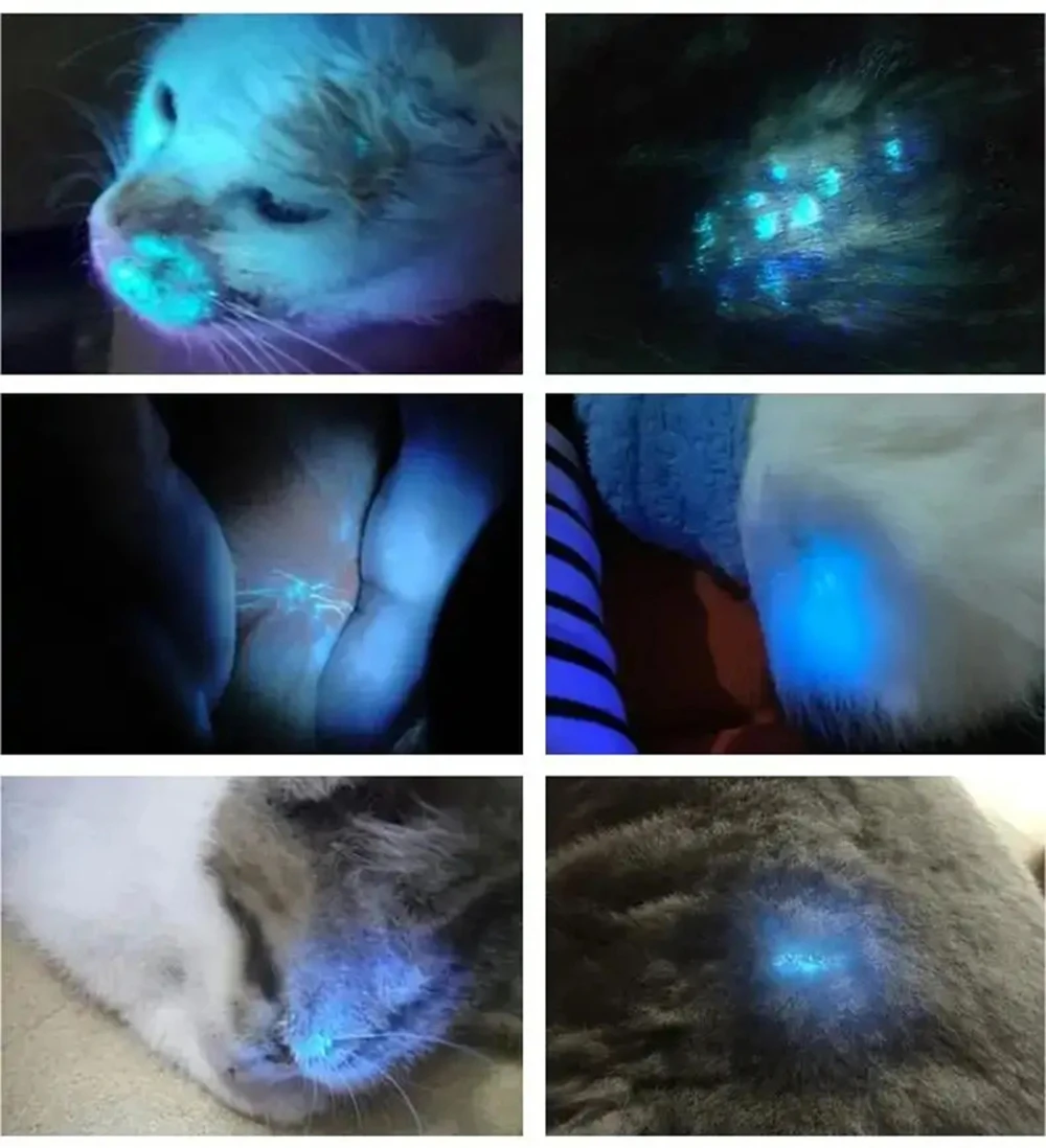 Handheld Wood Lamp for Pet Cat and Dog Skin Detection 365 Nanometer UV Irradiation Veterinary Equipment