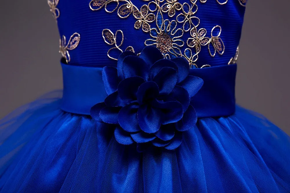 Girls Princess Embroidery Baby Flower Wedding Christmas Party Tutu Dress Teenager Children Kids Elegant Vestidos for 3-15Years