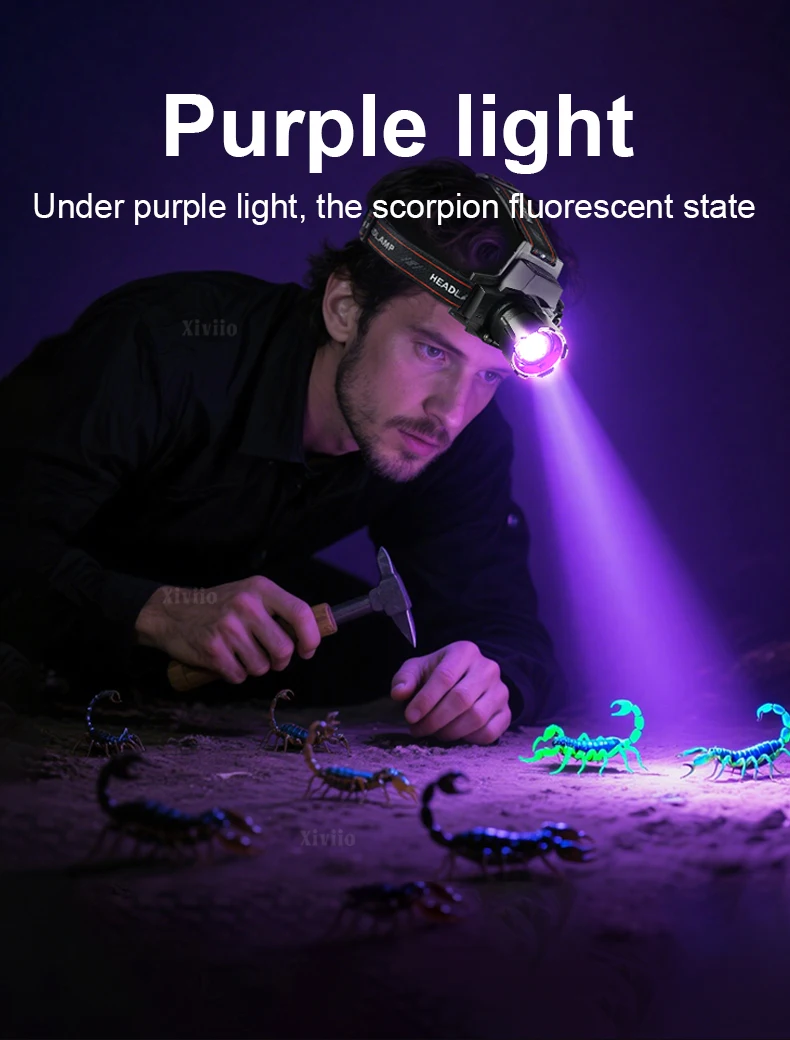 395nm UV Headlamp Ultraviolet Zoomable Headlight Rechargeable Purple Head Torch Catch Scorption Hunting Light Pet Urine Detector