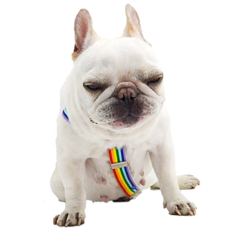 Rainbow Stripe Dog Diaper Suspenders for Pet Clothes Diapers Pants Skirt Belly Bands Small Medium Large Dogs Pet Accessories