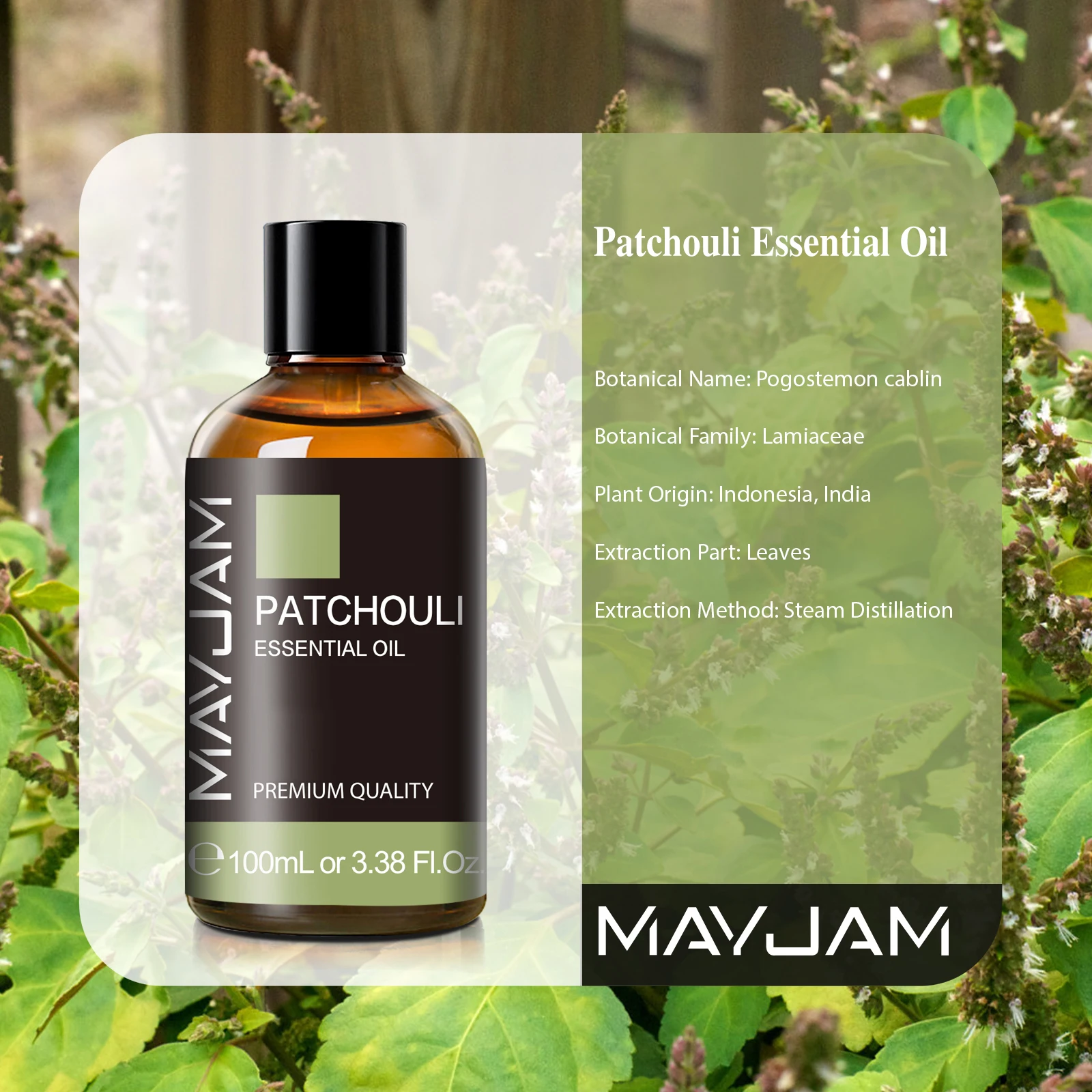 MAYJAM 1PCS Patchouli Plant Natural Essential Oils for Humidifier Diffusers Burner Making Candle