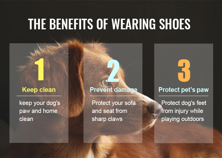 Truelove Mesh Fabric Dog Shoes Pet Dog Boots Waterproof Reflective Rugged Anti-Slip Sole Skid-Proof Outdoor for Small Dog S5911