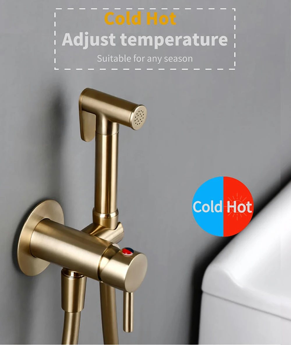 Bagnolux Brushed Gold Toilet Held Bidet Sprayer Kit with Hose and Holder Wall Mounted Hot and Cold Mixed Type Bathroom Faucet