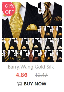 Barry.Wang Jacqaurd Silk Men Ascot Cravat Tie Floral Paisley For Male with Hanky Cufflinks 60 Colors Wedding Party Events Gift