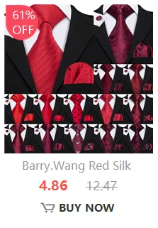 Barry.Wang Jacqaurd Silk Men Ascot Cravat Tie Floral Paisley For Male with Hanky Cufflinks 60 Colors Wedding Party Events Gift