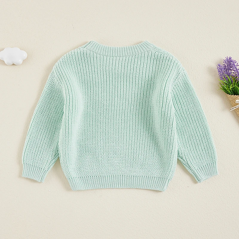 Suefunskry Newborn Baby Girl Boy Knitted Long Sleeve Autumn Winter Sweater Solid Loose Pullover Casual Tops Kids Clothes 3M-5Y