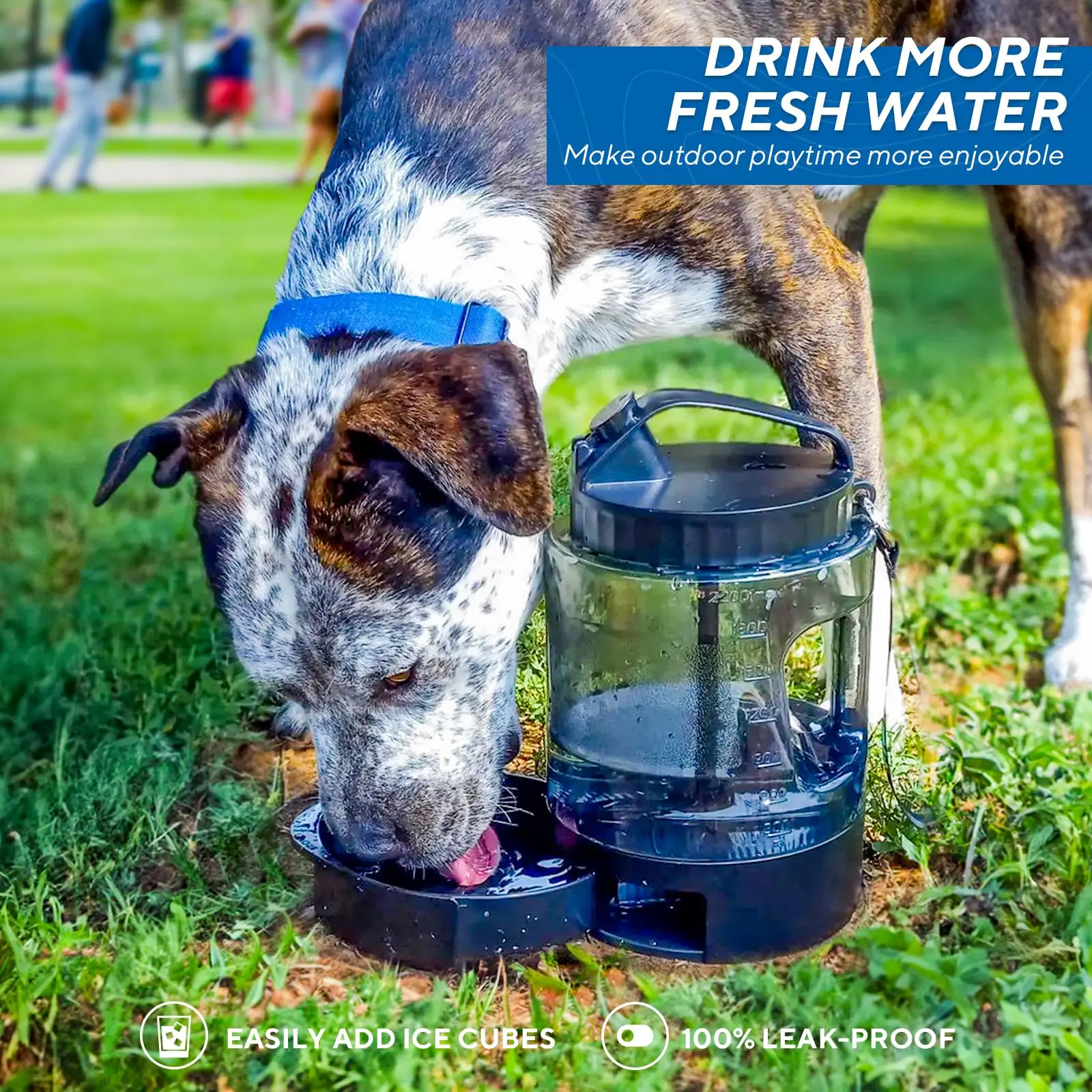 Lesotc 77oz Portable Dog Travel Water Bottle Large Capacity Pet Water Bowl for Camping Hiking Beach Hunting