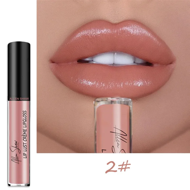 12 Colors Sexy Women Lipstick Waterproof Long Lasting Moist Lip Gloss Vivid Colorful Lipgloss Women Makeup Maquiagem