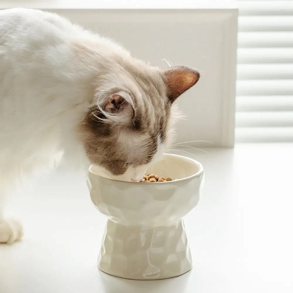 Ceramic Cat Bowl Creative Slanted/Flat Mouth Dog Food Feeding Basin Non-slip Multi-use Pet High Foot Bowl Water Container