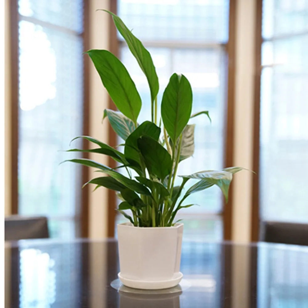 White Minimalist Polygonal Flower Pot With Tray Gardening Thickened Plastic Garden Pot Indoor Small Potted Plants Fleshy 1 Pc