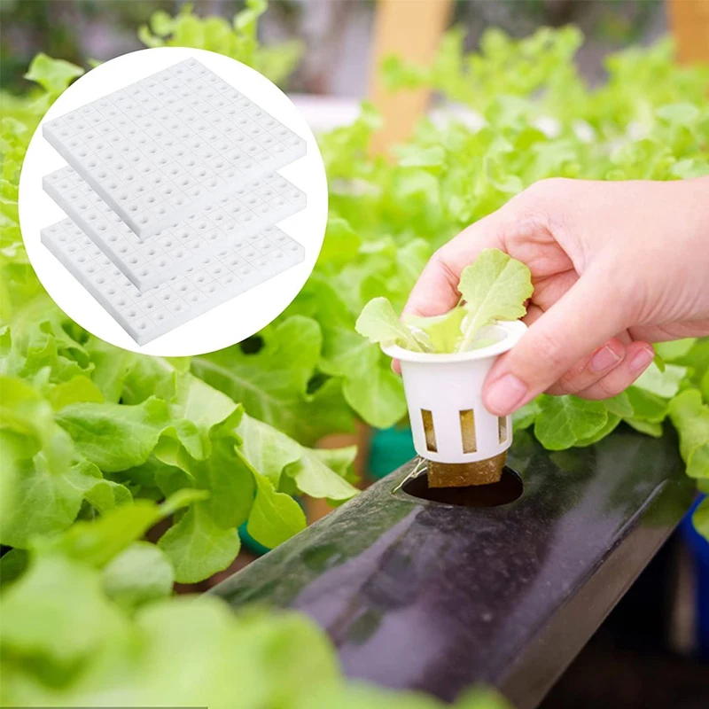 500Pcs Plants Seedling Hydroponic Sponge Squares Household Greenhouse Vegetable Seed Nursery Garden Sponge Soilless Dirt Tool