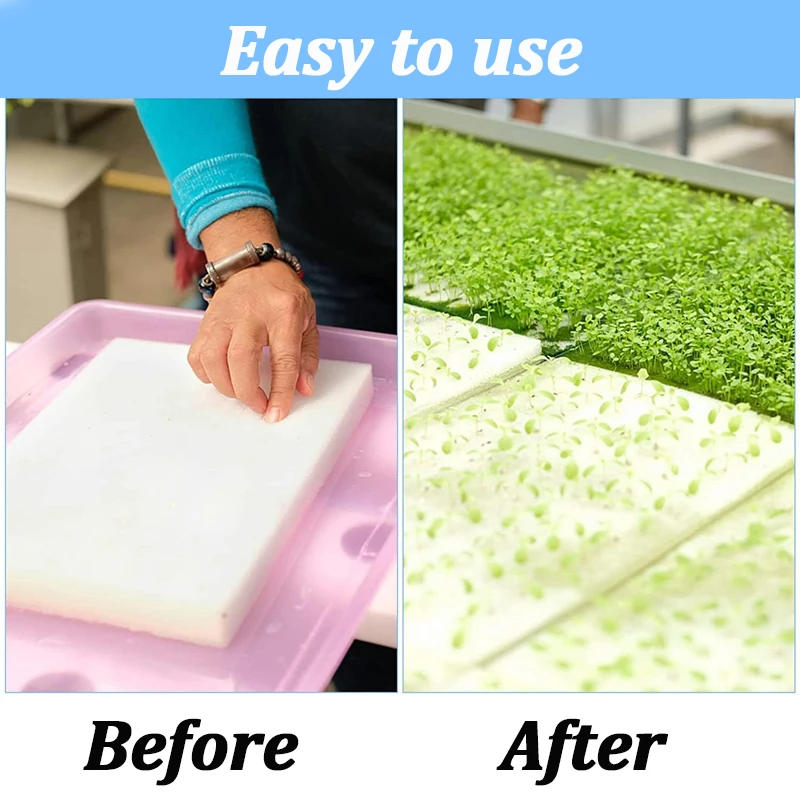 500Pcs Plants Seedling Hydroponic Sponge Squares Household Greenhouse Vegetable Seed Nursery Garden Sponge Soilless Dirt Tool
