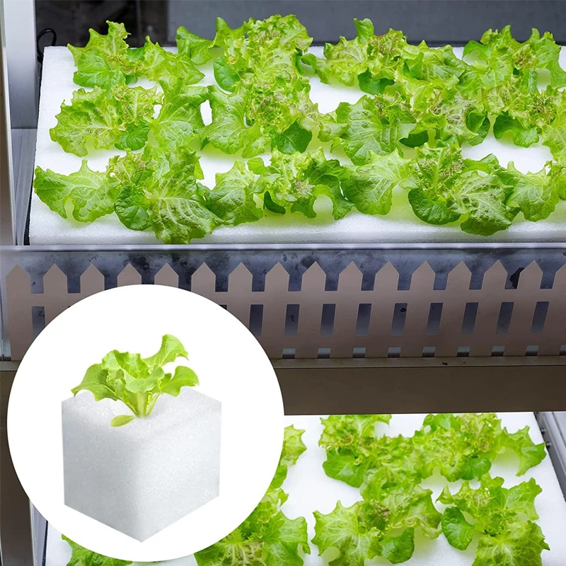 500Pcs Plants Seedling Hydroponic Sponge Squares Household Greenhouse Vegetable Seed Nursery Garden Sponge Soilless Dirt Tool