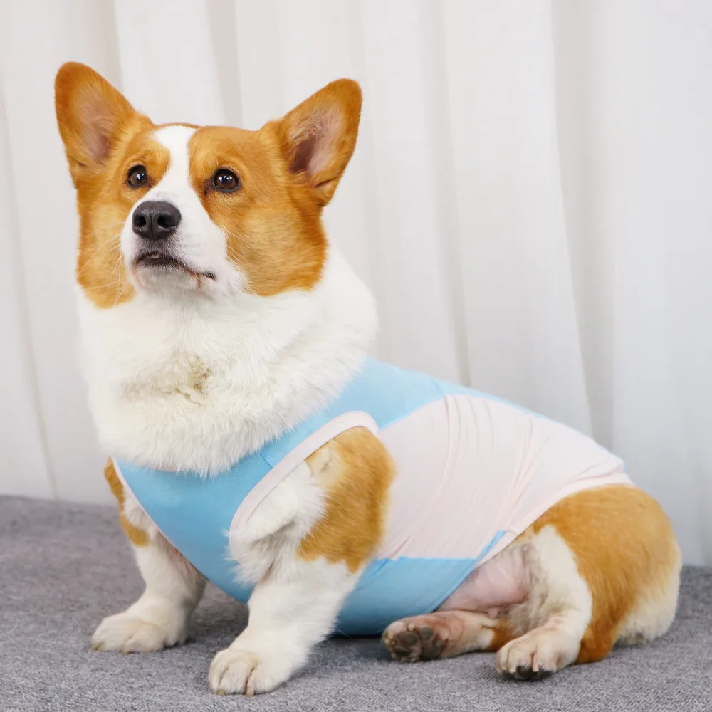 Dog Summer Cooling Vest Sun Protection Ice Silk Pet Clothes Breathable Quick Dry Puppy Cat Clothes For Small Medium Large Dogs