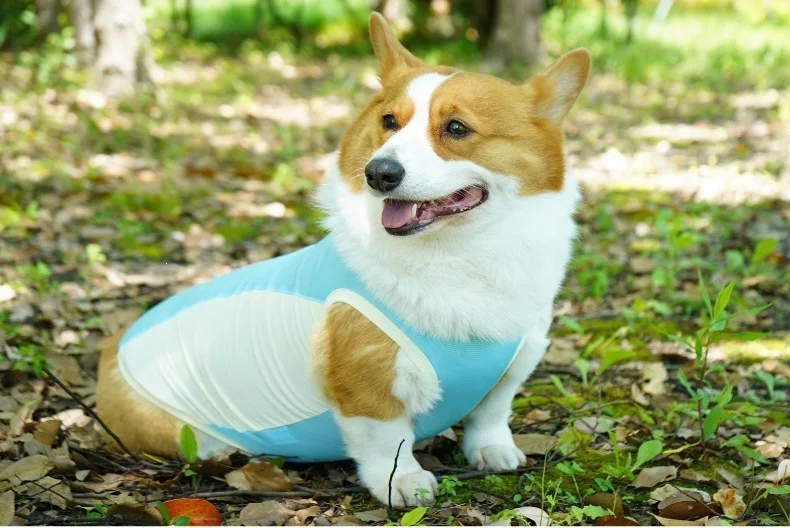 Dog Summer Cooling Vest Sun Protection Ice Silk Pet Clothes Breathable Quick Dry Puppy Cat Clothes For Small Medium Large Dogs