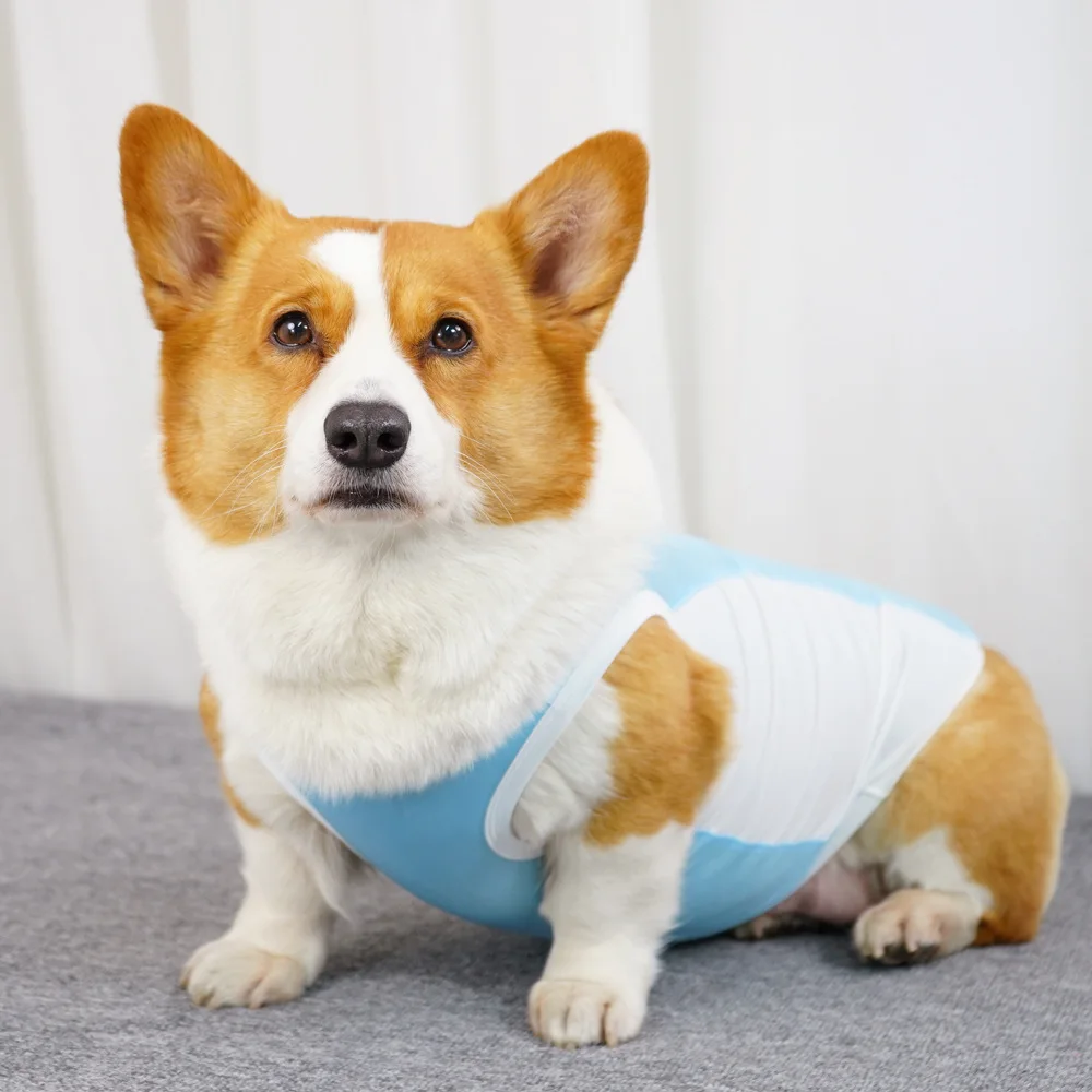 Dog Summer Cooling Vest Sun Protection Ice Silk Pet Clothes Breathable Quick Dry Puppy Cat Clothes For Small Medium Large Dogs