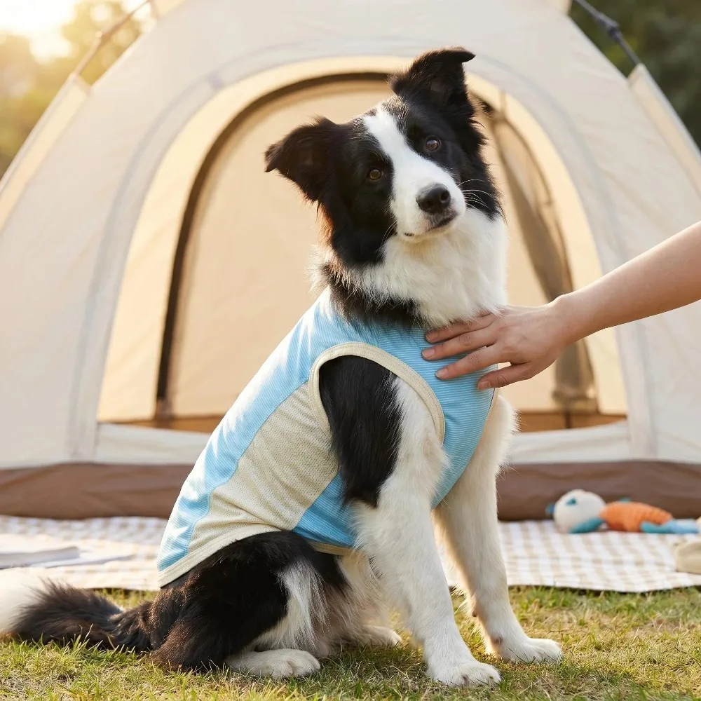 Dog Summer Cooling Vest Sun Protection Ice Silk Pet Clothes Breathable Quick Dry Puppy Cat Clothes For Small Medium Large Dogs